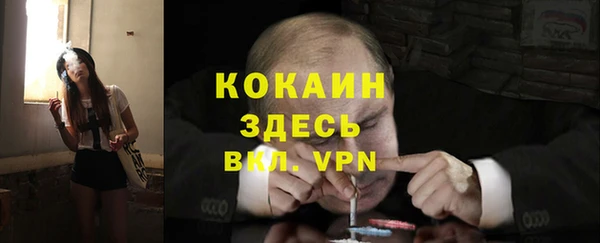 МДПВ Навашино