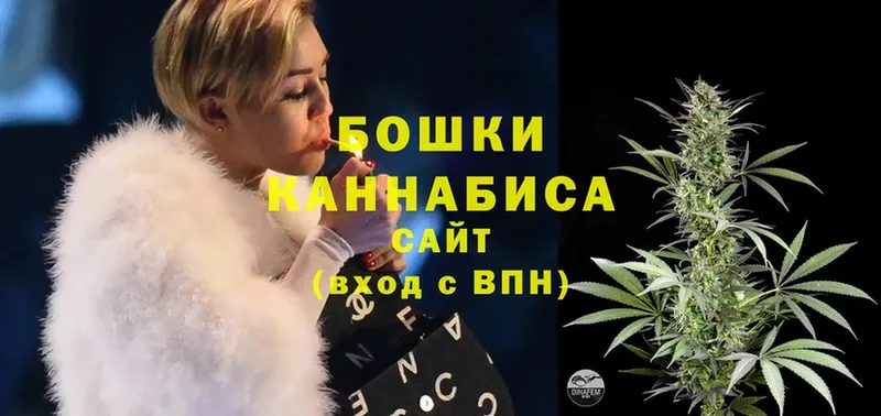 Каннабис LSD WEED  сайты даркнета какой сайт  Камызяк  закладка 